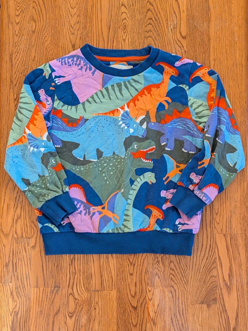 Mini Boden Kids Boys Dinosaur Print Cotton Sweatshirt